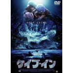 �P�C�u�E�C��