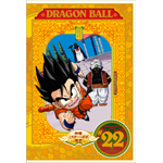 DRAGON BALL