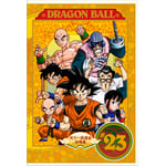 DRAGON BALL