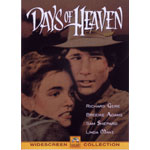 �V���̓��X