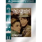 �V���̓��X