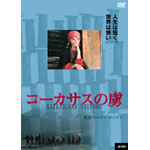 �R�[�J�T�X�̗�