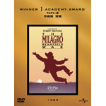 �~���O��/��Ղ̒n