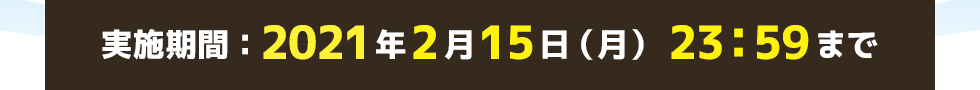 実施期間:2021年2月15日(月)23:59まで