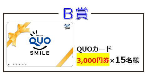 B賞　QUOカード　3,000円券×15名様