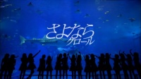 AKB48 31stVOuȂN[vMVJbg