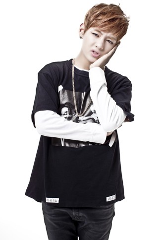 �h�e���N�c�iBTS�j��V