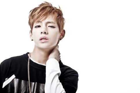 �h�e���N�c�iBTS�j��V