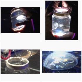 ���݂������ف@��l���胏�[�N�V���b�v�w�ӂ�ӂ�N���Q�x