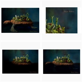 �k�A�ځFHOBBULOUS LIFE�lVol.1�W�I���}�~�ϗt�A���@�w�������葽�����x�X���C�h�V���[