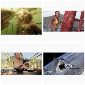 �Ăɐl�C�́g�T���f��h�@�o�I�`�����ڂ̃g���f���f���!?