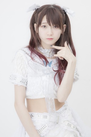 The Idol Formerly Known As LADYBABY�@���q���]