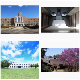 �l�X�ȍ�i�ŋN�p�������̃��P�n