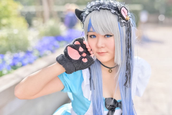 wacosta! RXvCxgxi1210 r܃TVCVeBjRXvC[E؂<br>(IWi)