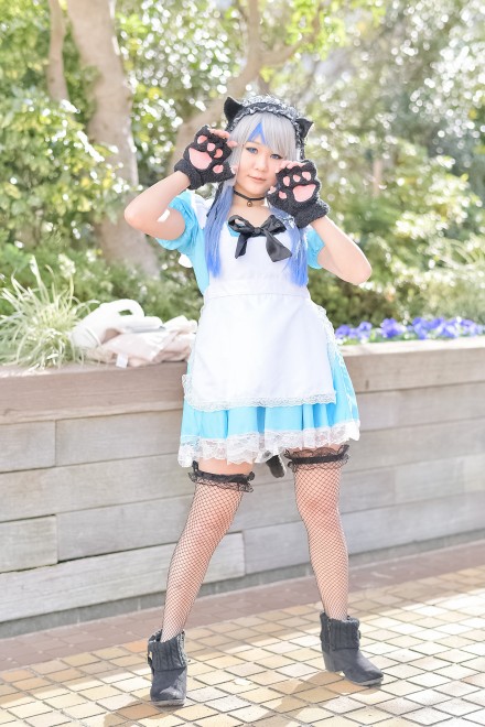 wacosta! RXvCxgxi1210 r܃TVCVeBjRXvC[E؂<br>(IWi)