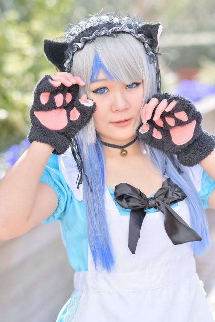 wacosta! RXvCxgxi1210 r܃TVCVeBjRXvC[E؂<br>(IWi)