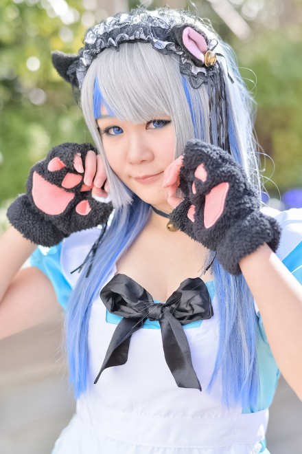 wacosta! RXvCxgxi1210 r܃TVCVeBjRXvC[E؂<br>(IWi)