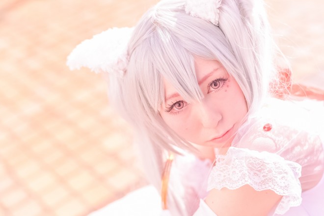 wacosta! RXvCxgxi16 r܃TVCVeBjRXvC[Eۂ񂳂 iw@܂ǂ}MJxLDׂj