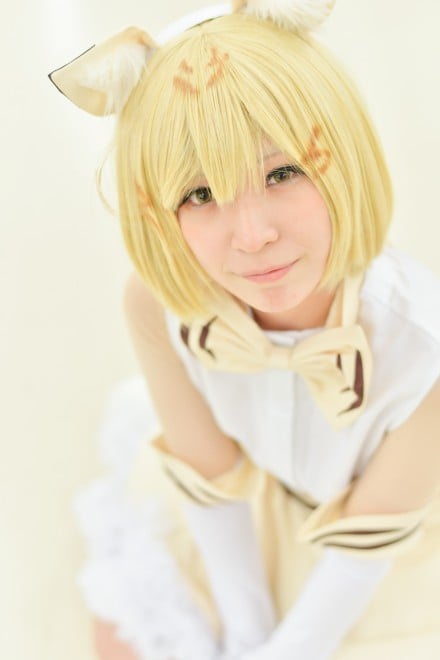 wacosta! RXvCxgxRXvC[EԔԉ<br>iw̃tYxXilRj