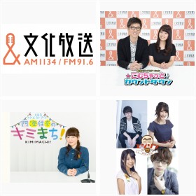 �u���D���W�I�����������v�̊m��������������