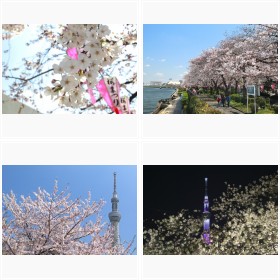 ����g�@�̑ォ�爤���ꑱ������c�쉈���̍�