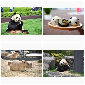 和歌山アドベンチャーワールド