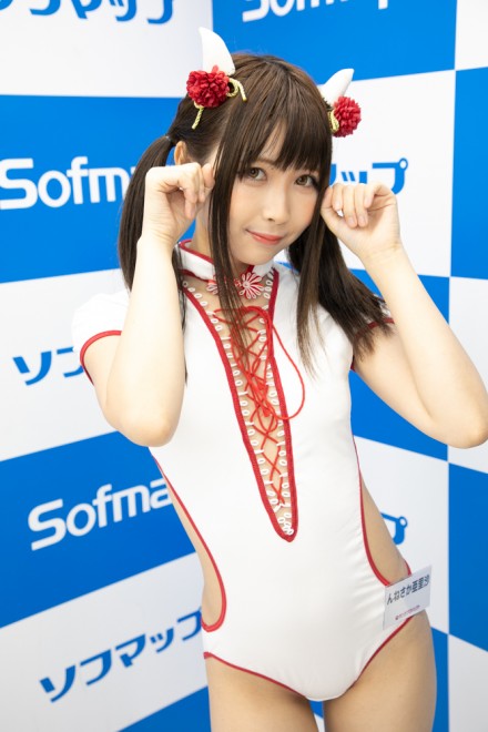 �w�T���N�v���W�F�N�g�~�\�t�}�b�v�x�R�X�v���C���[�E��˂�������������<br>�i�`���C�i���j