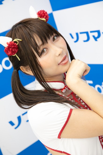 �w�T���N�v���W�F�N�g�~�\�t�}�b�v�x�R�X�v���C���[�E��˂�������������<br>�i�`���C�i���j