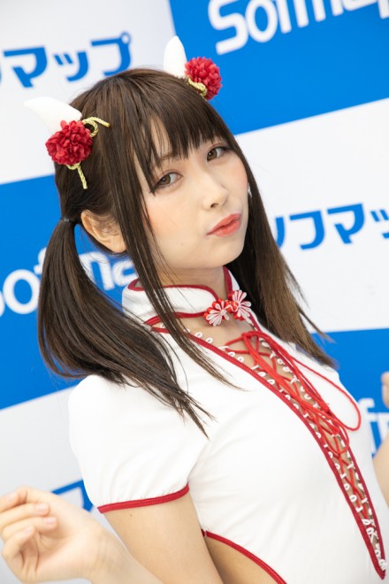 �w�T���N�v���W�F�N�g�~�\�t�}�b�v�x�R�X�v���C���[�E��˂�������������<br>�i�`���C�i���j