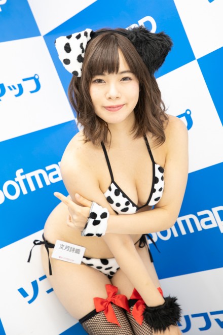 �w�T���N�v���W�F�N�g�~�\�t�}�b�v�x�R�X�v���C���[�E�������D����<br>�i�I���W�i���j