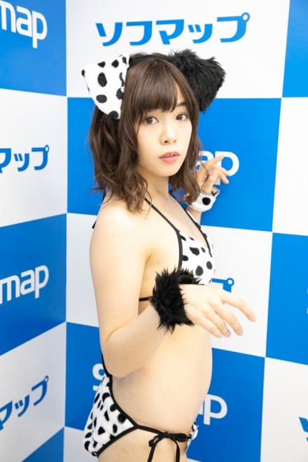 �w�T���N�v���W�F�N�g�~�\�t�}�b�v�x�R�X�v���C���[�E�������D����<br>�i�I���W�i���j