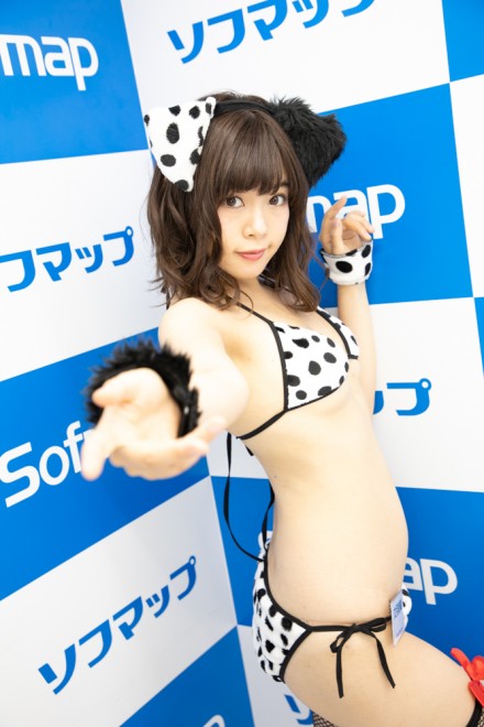 �w�T���N�v���W�F�N�g�~�\�t�}�b�v�x�R�X�v���C���[�E�������D����<br>�i�I���W�i���j