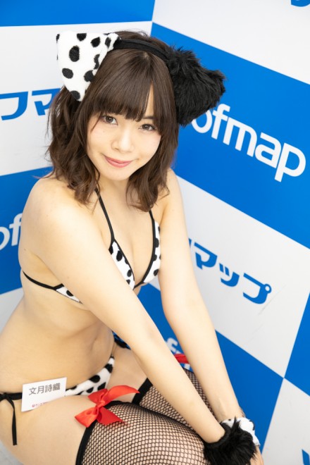 �w�T���N�v���W�F�N�g�~�\�t�}�b�v�x�R�X�v���C���[�E�������D����<br>�i�I���W�i���j