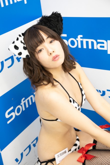 �w�T���N�v���W�F�N�g�~�\�t�}�b�v�x�R�X�v���C���[�E�������D����<br>�i�I���W�i���j