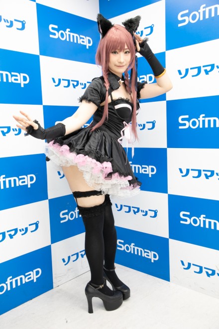 �w�T���N�v���W�F�N�g�~�\�t�}�b�v�x�R�X�v���C���[�E���s����<br>�i�I���W�i���j