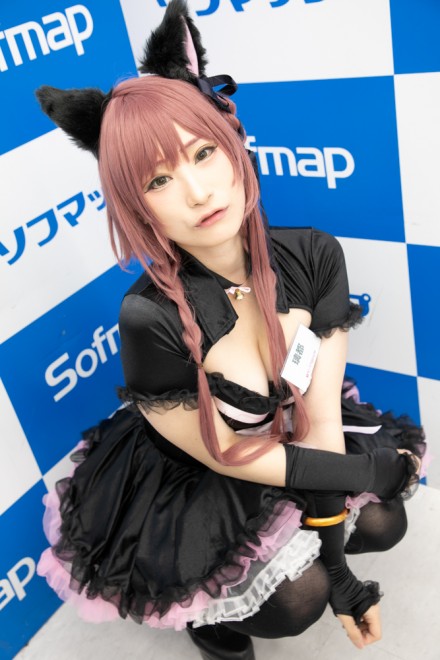 �w�T���N�v���W�F�N�g�~�\�t�}�b�v�x�R�X�v���C���[�E���s����<br>�i�I���W�i���j