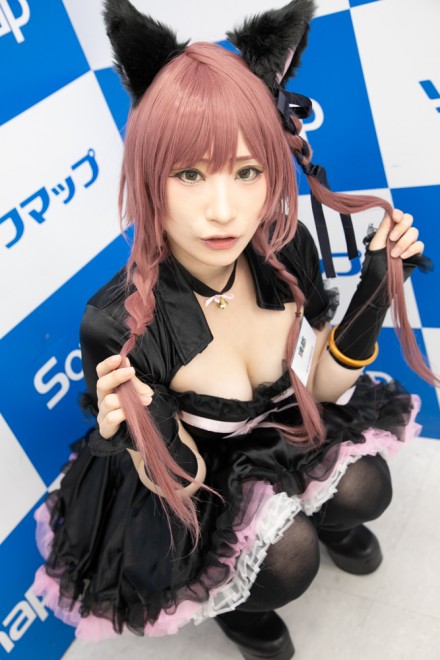 �w�T���N�v���W�F�N�g�~�\�t�}�b�v�x�R�X�v���C���[�E���s����<br>�i�I���W�i���j