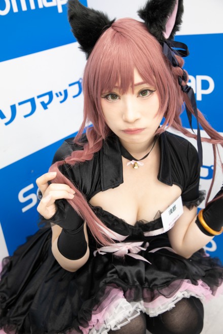 �w�T���N�v���W�F�N�g�~�\�t�}�b�v�x�R�X�v���C���[�E���s����<br>�i�I���W�i���j