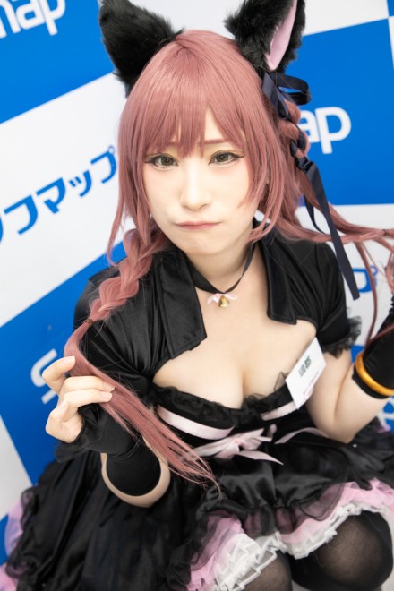 �w�T���N�v���W�F�N�g�~�\�t�}�b�v�x�R�X�v���C���[�E���s����<br>�i�I���W�i���j