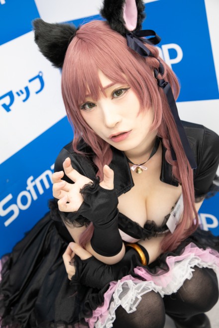 �w�T���N�v���W�F�N�g�~�\�t�}�b�v�x�R�X�v���C���[�E���s����<br>�i�I���W�i���j