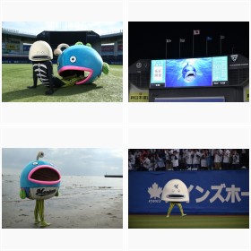 ��t���b�e�}���[���Y�@�V�L�����N�^�[�u��̋��v�t�H�g�M�������[