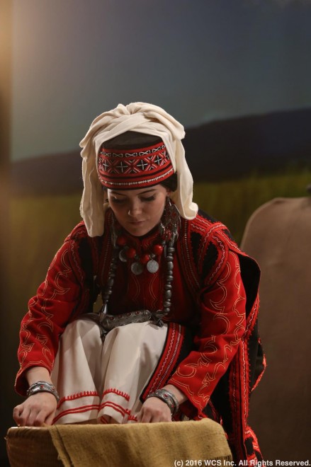 �u���E�R�X�v���T�~�b�g2016�v�̗l�q