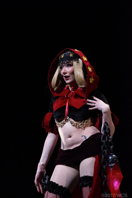 �u���E�R�X�v���T�~�b�g2017�v�̗l�q