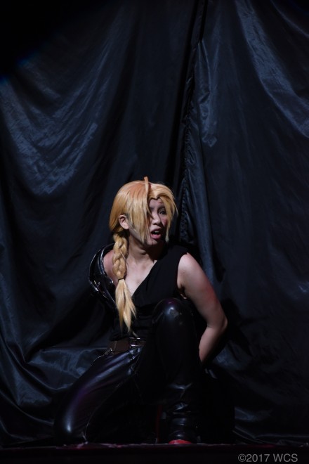 �u���E�R�X�v���T�~�b�g2017�v�̗l�q