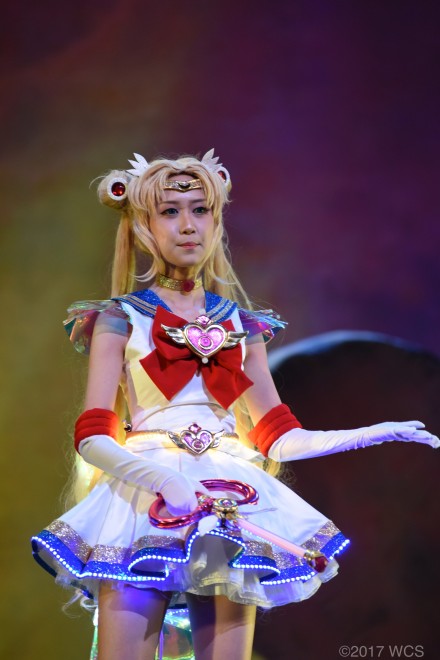 �u���E�R�X�v���T�~�b�g2017�v�̗l�q