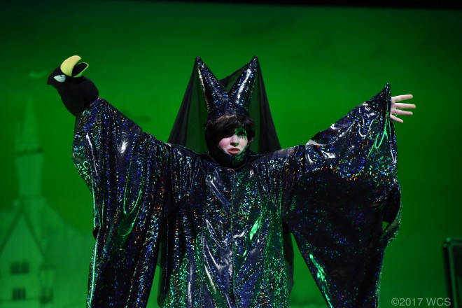 �u���E�R�X�v���T�~�b�g2017�v�̗l�q