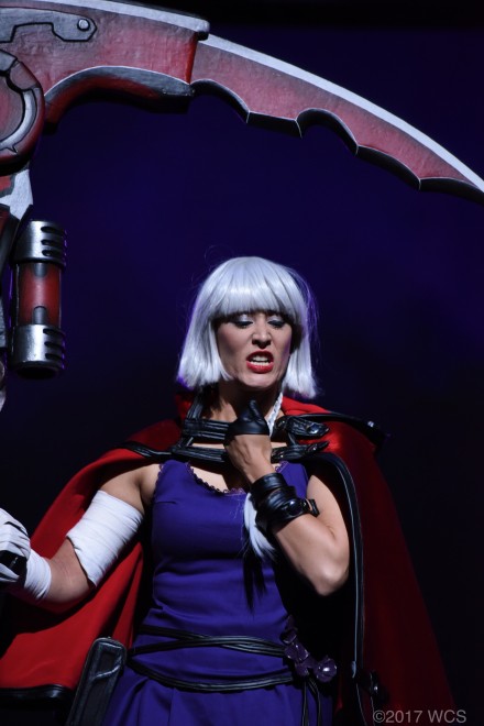 �u���E�R�X�v���T�~�b�g2017�v�̗l�q