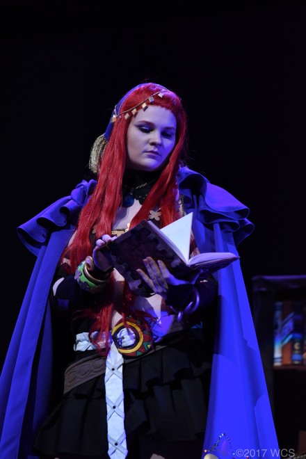 �u���E�R�X�v���T�~�b�g2017�v�̗l�q