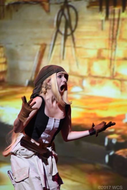 �u���E�R�X�v���T�~�b�g2017�v�̗l�q