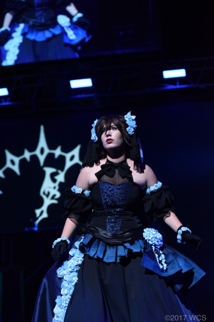 �u���E�R�X�v���T�~�b�g2017�v�̗l�q